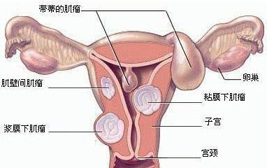 第398页
