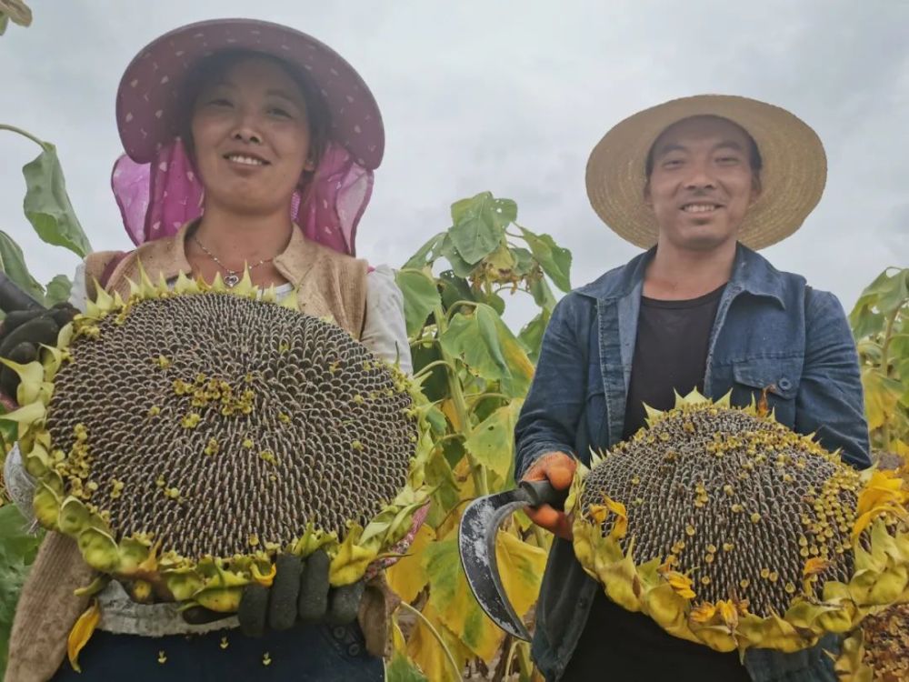 热点生活 第46页