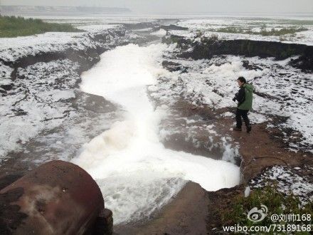 港澳新闻 第43页