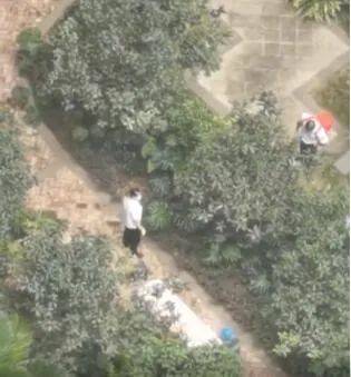 游戏专题 第9页